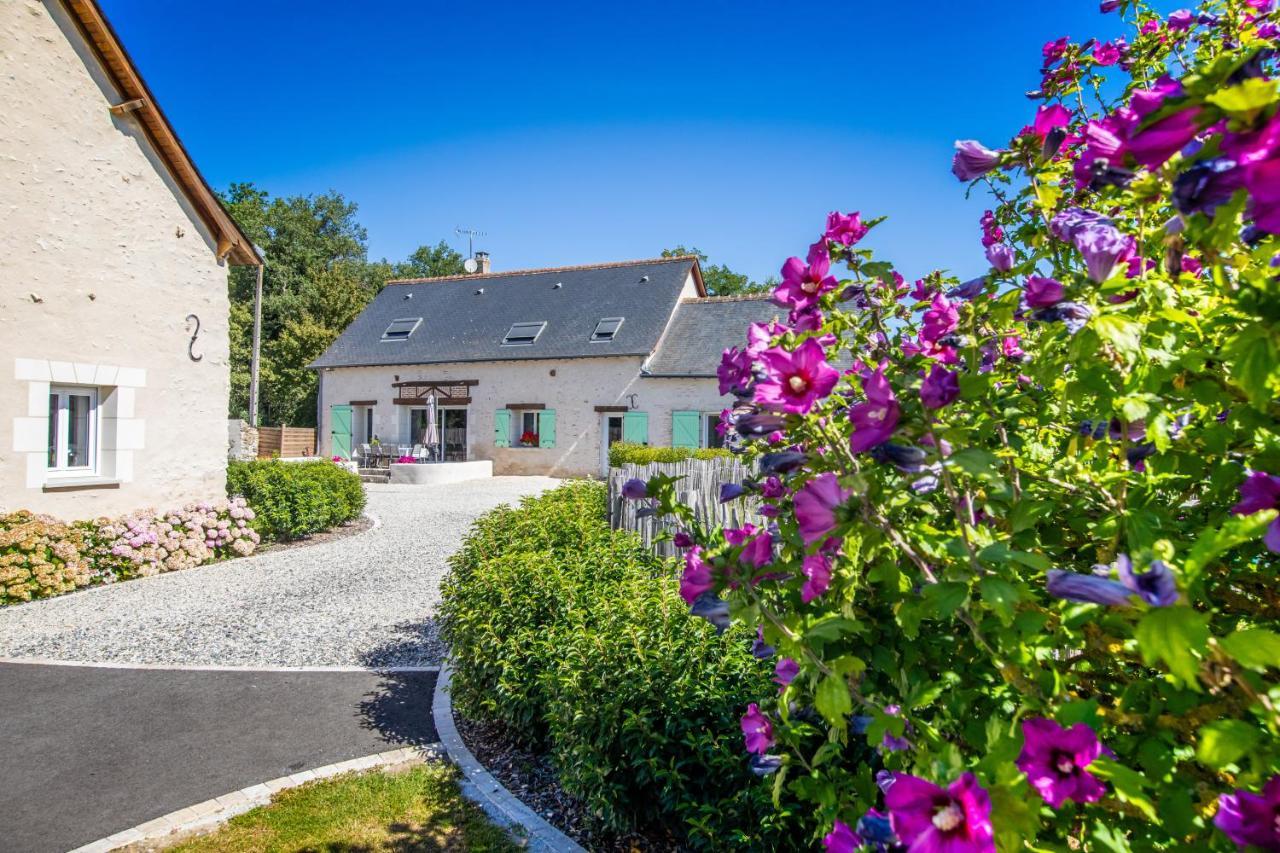 Bed and Breakfast Metairie Du Villiers Saint-Branchs Экстерьер фото